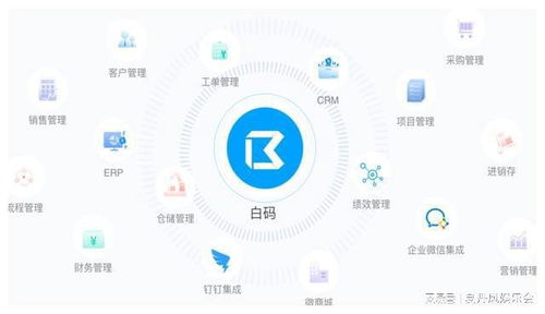 零風險,百收益 資產管理系統帶來驚人收益